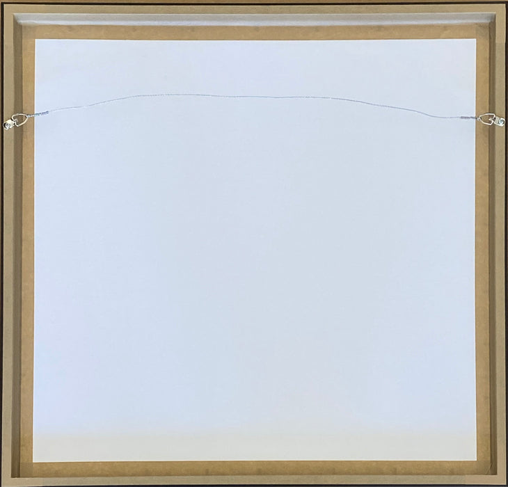 Rourke Van Dal 'Adidit (3 Mods)'