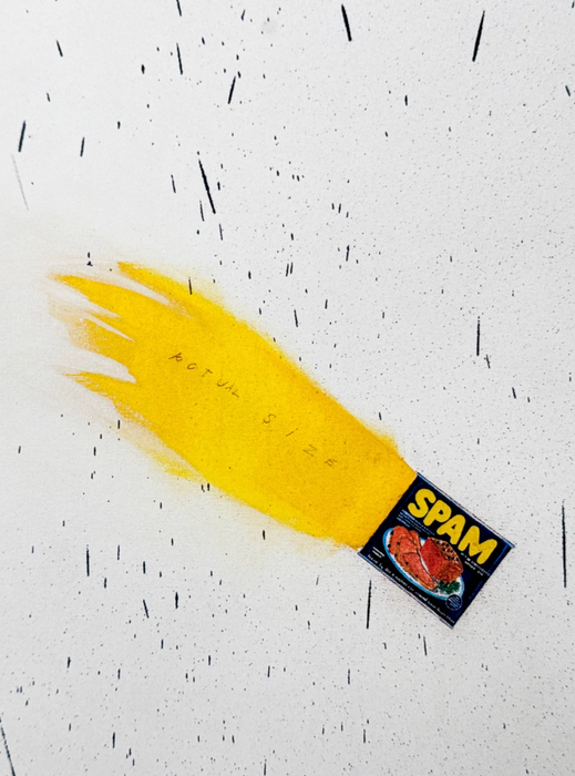 Ed Ruscha 'Actual Size (Spam)'