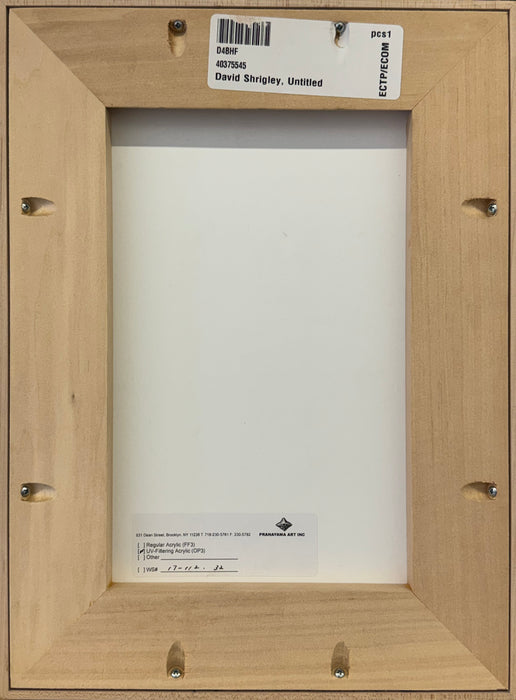 David Shrigley 'Untitled (Reflection)' (Original)