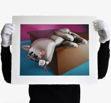 Load image into Gallery viewer, Cesar Piette &#39;Plastic Dead Cat&#39;