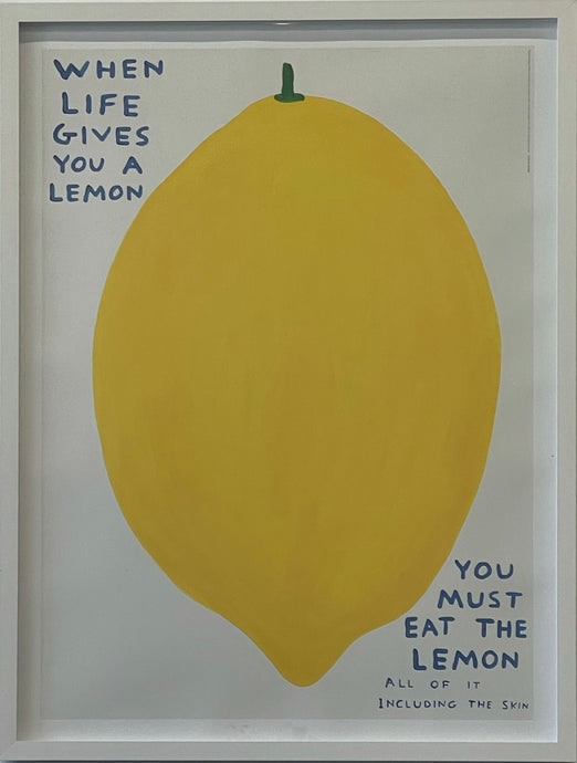 David Shrigley 'When Life Gives You a Lemon﻿﻿'
