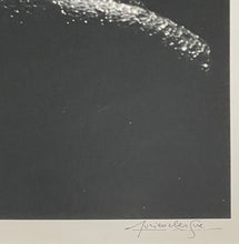 Load image into Gallery viewer, Lucien Clergue &#39;Les Géantes, Camargue
