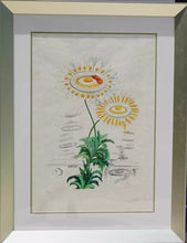 Load image into Gallery viewer, Salvador Dali &#39;Flora Dalinae Chrysanthemum&#39;