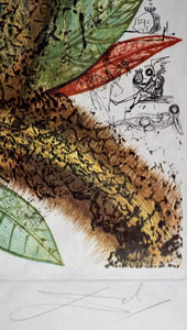 Salvador Dali 'Vegetation Inedit (Pineapple)'